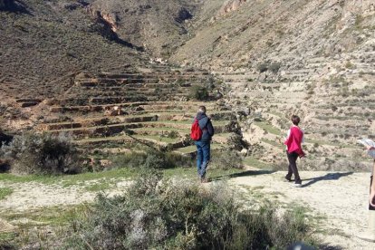 Vista de los bancales, con sus balates de piedra, en la ladera de la montaña.