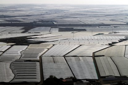 El Ejido es un mar de plástico con miles de hectáreas invernadas