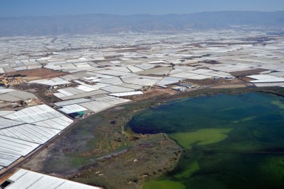 Imagen de la Balsa del Sapo, en El Ejido, rodeada de invernaderos.