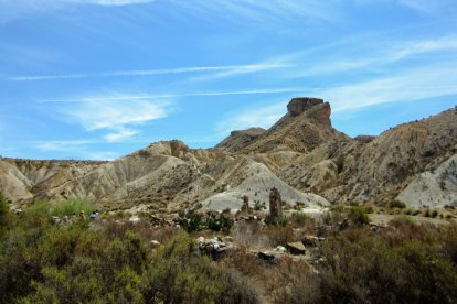 El Desierto de Tabernas, con sus paisajes extemos, es un lugar único para el turismo de naturaleza.