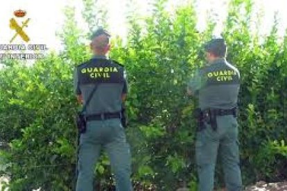 Agentes de la Guardia civil.