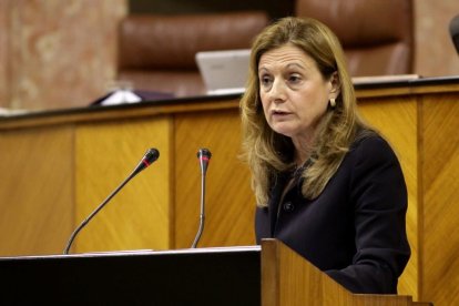La consejera Marina Álvarez, durante una intervención en el Parlamento Andaluz.
