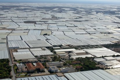 Vista aérea del mar de plástico almeriense.