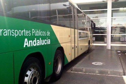 Nuevo servicio del Consorcio de Transportes Metropolitano.