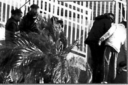 Foaud N., a la izquierda, lleva a tres migrantes desembarcados a la Estación Intermodal de Almería