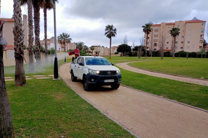 Trabajos de fumigación que se están desarrollando en Almerimar.