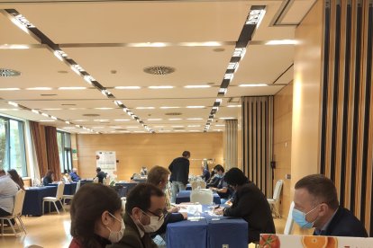 Reunión con operadores extranjeros con Extenda.