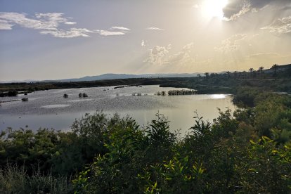 El humedal Salar de los Canos en Vera.