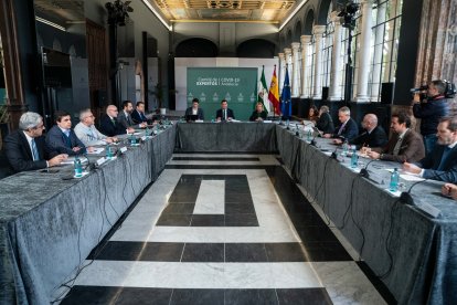 Reunión del Comité de Expertos de Andalucía.