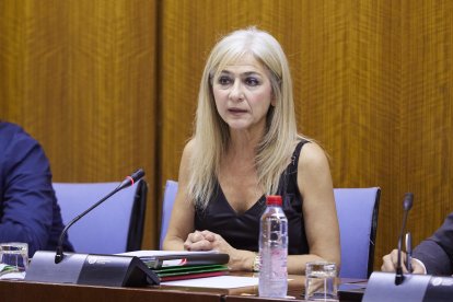 Patricia del Pozo, consejera de Desarrollo Educativo.