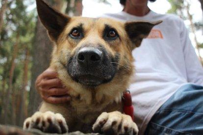 Lawall ya está totalmente recuperado.