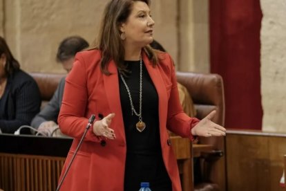 archivo de la consejera Crespo en una intervención en el Parlamento andaluz.