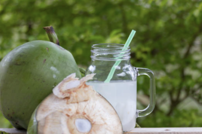 Agua de coco, múltiples beneficios para tu salud