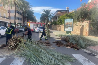 Palmera caída en la avenida de Cabo de Gata este jueves.