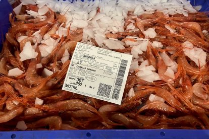 Una partida de quisquilla comercializada esta semana en la lonja de Almería.