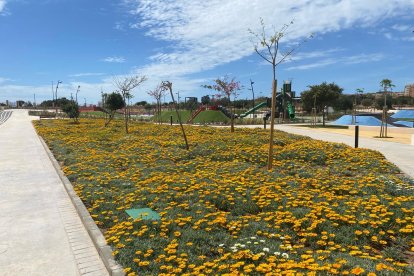 Algunas de las plantas que se han colocado en el Parque San José.