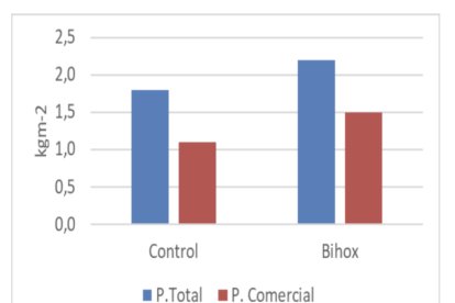 37% más de producción precoz comercial por metro cuadrado en tratamiento Bihox® (0-49 ddt).