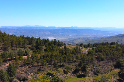 Una panorámica de las Sierras de las Estancias y María desde la Sierra de los Filabres. /CLV