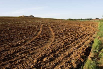 Conservar el suelo, un desafío