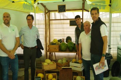 Variedades de sandía y melón de Semillas Fitó.