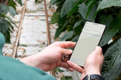 El Digital Assistant de Koppert.