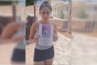 Buscan a Simba, un perro desaparecido en Adra.