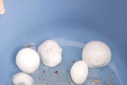 Pedriza caída el pasado domingo.