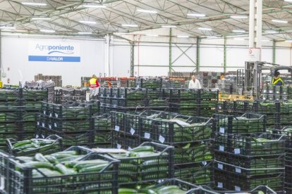 Uno de los almacenes del Grupo Agroponiente.