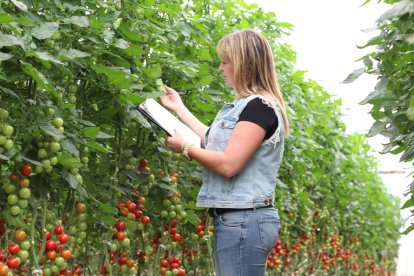 La investigación agroalimentaria es uno de los bastiones del crecimiento económico almeriense.
