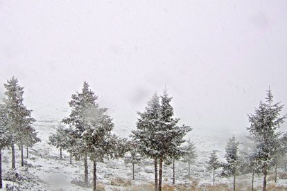 El entorno de Calar Alto este domingo captado desde una cámara del observatorio.