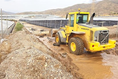 Reparación de los daños causados por la DANA en El Ejido.