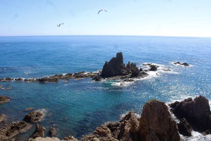 Arrecife de las Sirenas.