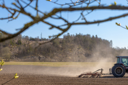 Los resultados contribuyen a mejorar la gestión de estos residuos en los entornos agrícolas y a evaluar cómo perjudican al medioambiente