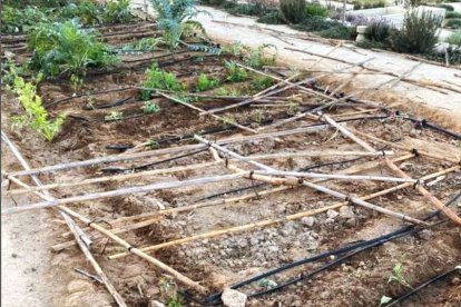 Captura de la imagen compartida por Juan José Segura.