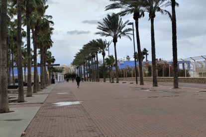 El viento no ha acompañado a los almerienses para que celebren el Día de Reyes en las calles de la capital.