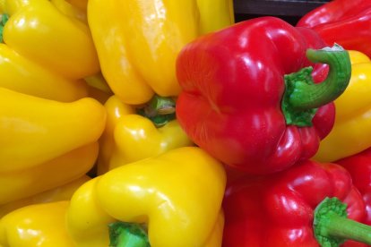 Pimiento California almeriense.