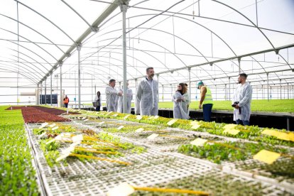 El consejero de Agricultura, Pesca, Agua y Desarrollo Rural, Ramón Fernández- Pacheco visita las instalaciones de Primaflor