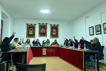 Pleno celebrado la pasada semana en Albox.