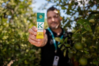 Koppert fue pionero en 1967 con la producción y lanzamiento a gran escala de su primer ácaro depredador para el control de plagas, Phytoseiulus pe