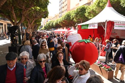La edición de 2024 se celebró en el Paseo de Almería y este año, al estar en obras, la fiesta se celebrará en la Rambla.