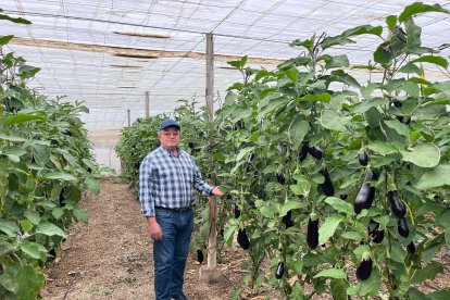 Dioni Miguel, el agricultor cantante de Vícar.