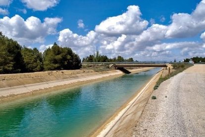 Canal del trasvase Tajo-Segura.

SINDICATO DE REGANTES DEL TAJO-SEGURA
30/4/2021