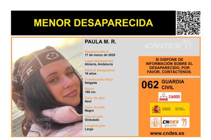 Cartel de búsqueda de Paula M. R.