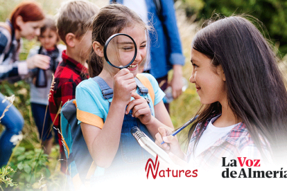 CONCURSO CAMPAMENTOS DE VERANO