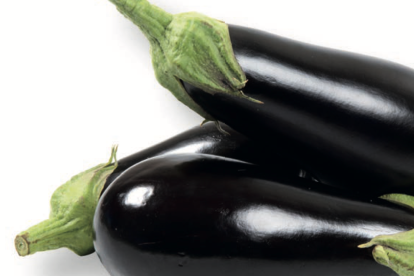 Berenjena ANTONIA