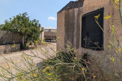Invernadero en el paraje El Toril, en Tarambana (El Ejido).