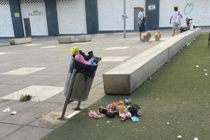 Suciedad acumulada en la zona del parque Elena Pezzi