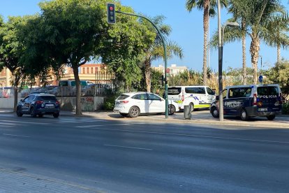 Presencia policial en el Parque de la Estación tras pillar in fraganti a un ladrón dando un tirón de bolso.