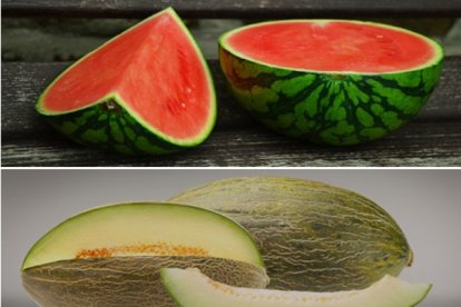 Con más de 660 millones de kilos consumidos entre junio de 2024 y mayo de 2025, melón y sandía son las frutas preferidas en verano.