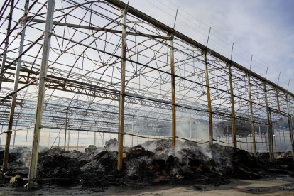 Así han dejado las llamas la nave de envases para la agricultura en El Ejido.